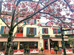Donatello Restaurant